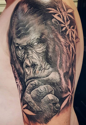 tatoogorilla portriet.png